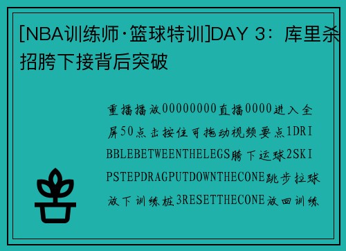 [NBA训练师·篮球特训]DAY 3：库里杀招胯下接背后突破